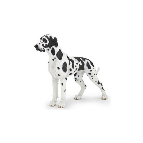 dogue allemand dogue allemand