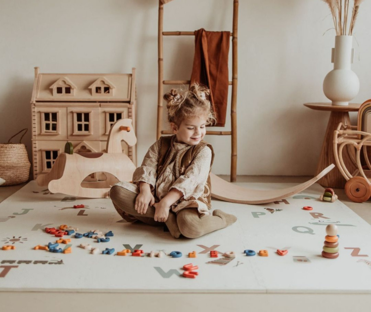 creative-toys-montessori-little-zebra