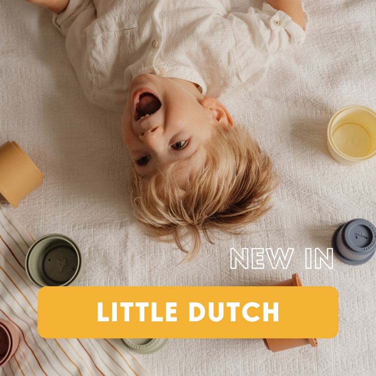 new-brand-little-zebra-little-dutch