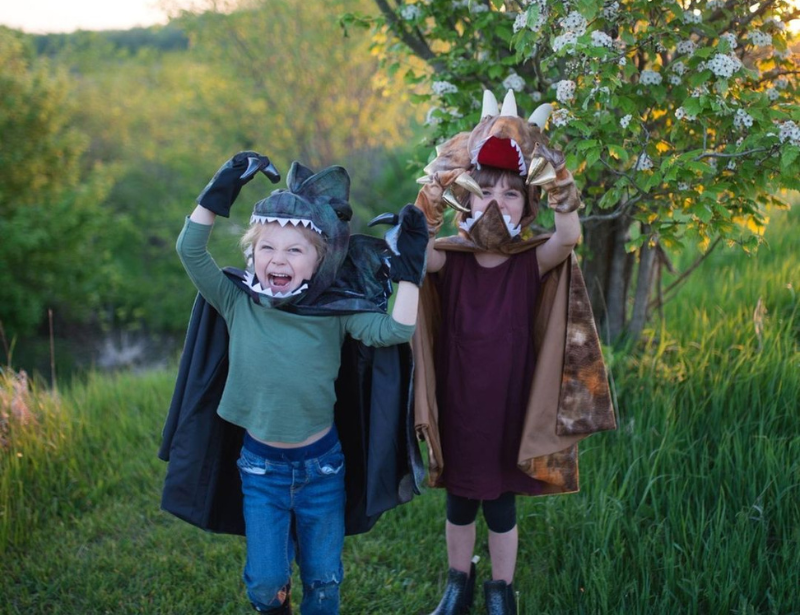 carnaval outfit great pretenders doen alsof pretend play de kleine zebra