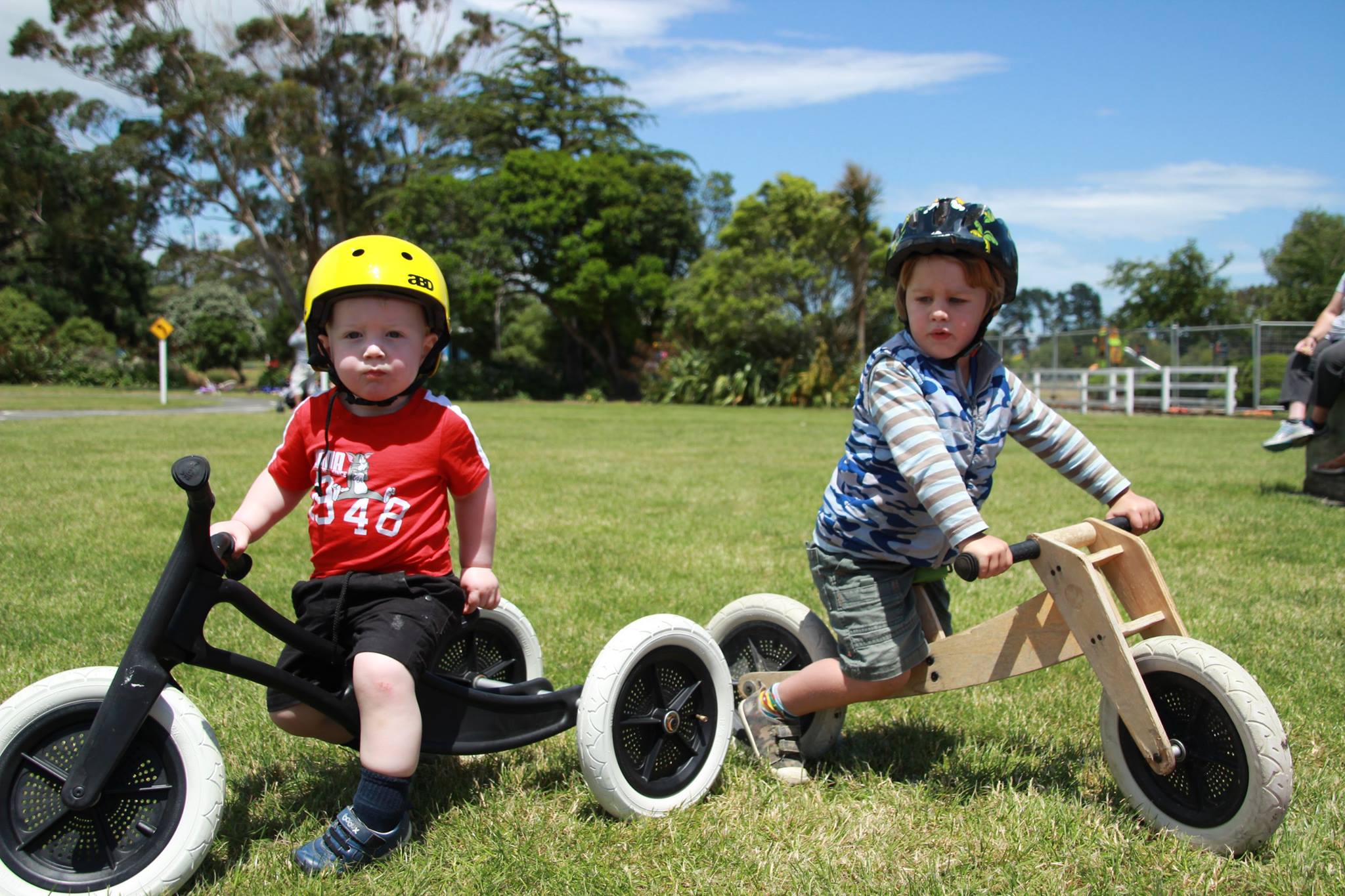 wishbone bike nz